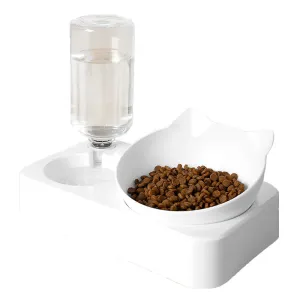 Automatic Pet Feeder with Water Dispenser